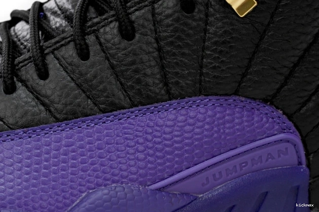 Rep MAX Air Field Jordan Retro 12 CT8013-057 Purple 0713